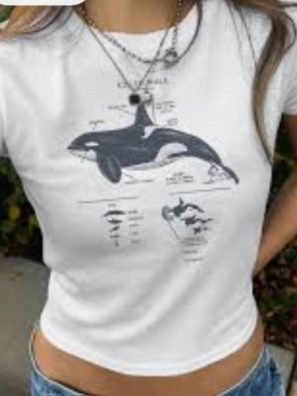 🤍 Orca / Killer Whale Graphic Tee 🤍 Size Small | EUC